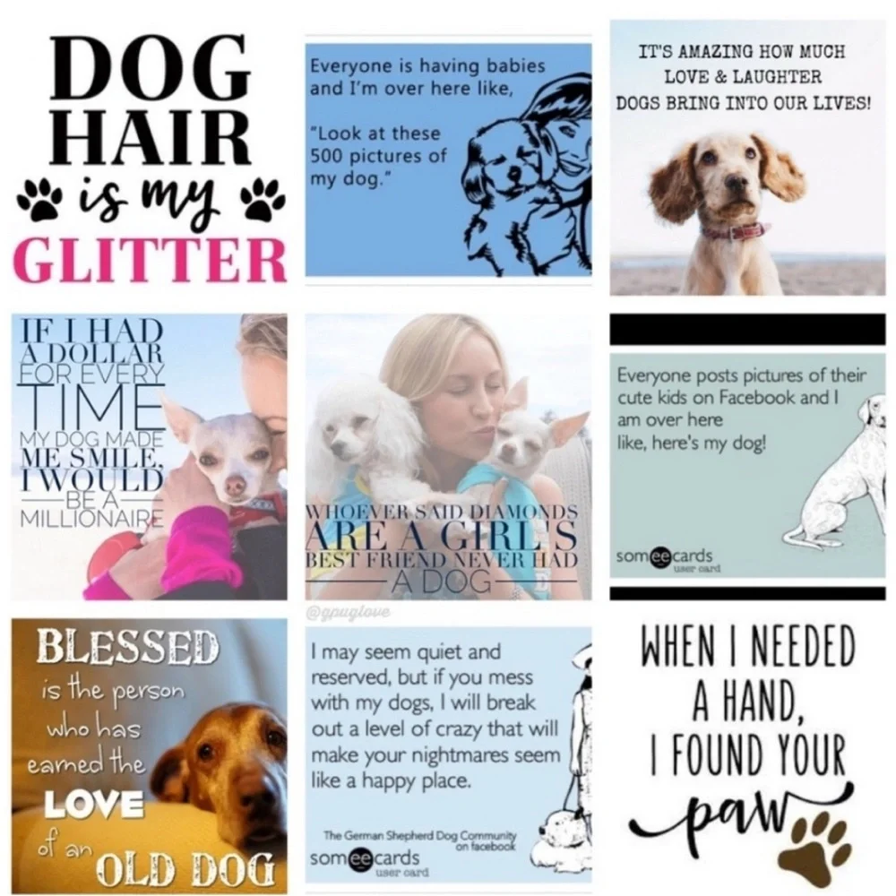 Sandicast Tan CHIHUAHUA with Red and White Christmas Scarf - Picture 11 of 13